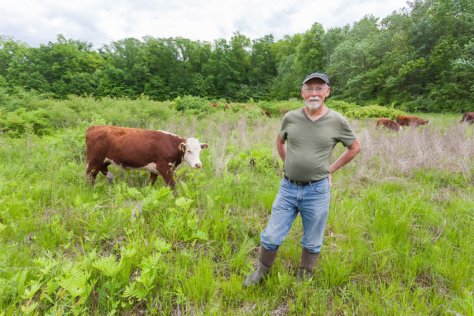  Charles Nobel, a retired school administrator turned rancher, produces grass-fed beef in Stone Ridge, N.Y., for direct sale to customers. Credit Phil Mansfield for The New York Times 